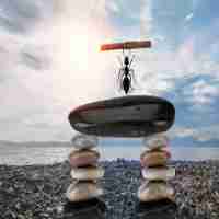 智​能​数​据‌挖​掘‍系​统​